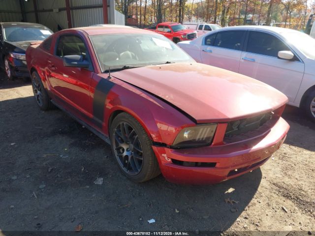 Ford Mustang Image 1