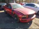 Ford Mustang Image 1