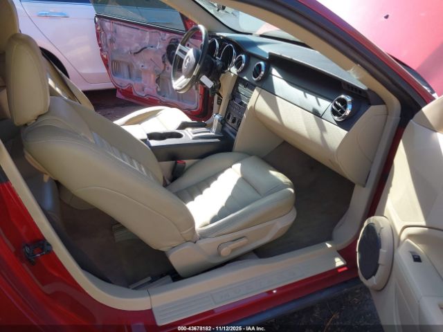 Ford Mustang Image 4