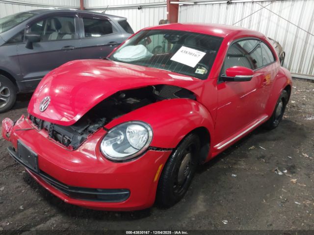 Volkswagen Beetle 1.8t Se Image 3