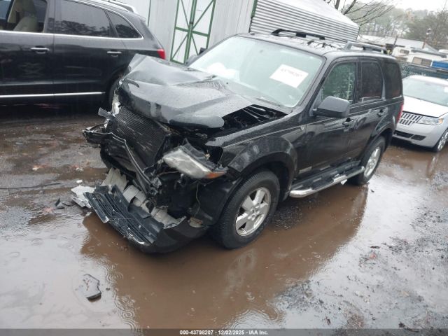 Ford Escape Xlt Image 3