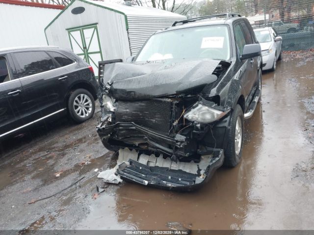 Ford Escape Xlt Image 8