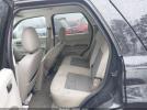 Ford Escape Xlt Image 6