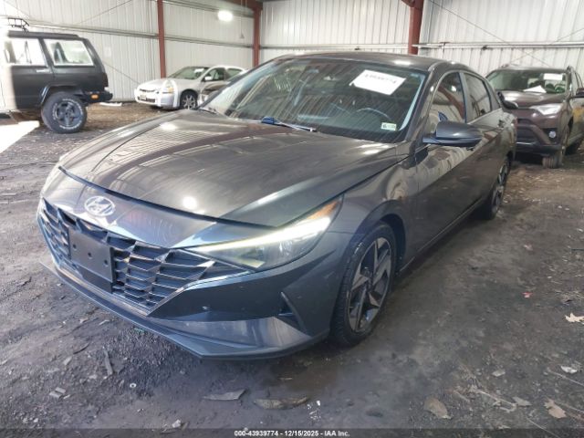 Hyundai ELANTRA Limited Image 7