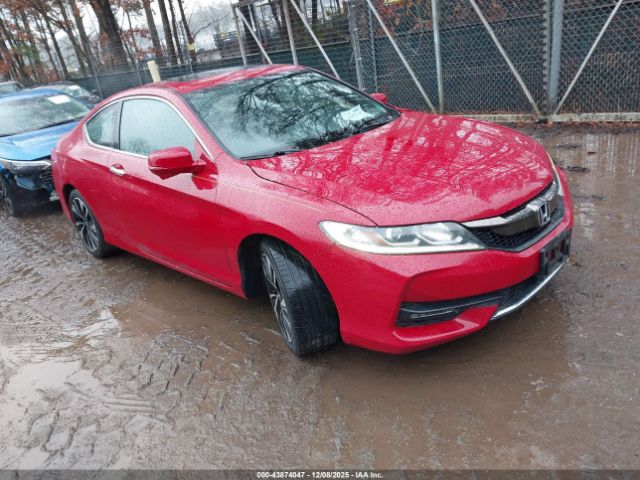 Honda Accord Ex-l V6 Image 1