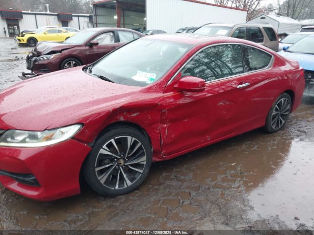 Honda Accord Ex-l V6 Image 11