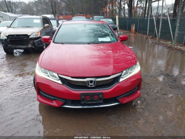 Honda Accord Ex-l V6 Image 12