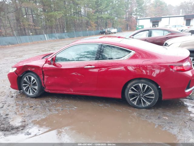 Honda Accord Ex-l V6 Image 6