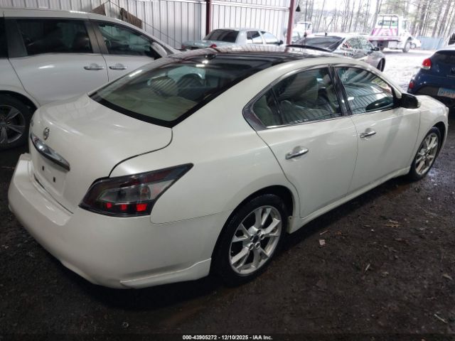 Nissan Maxima 3.5 Sv Image 10