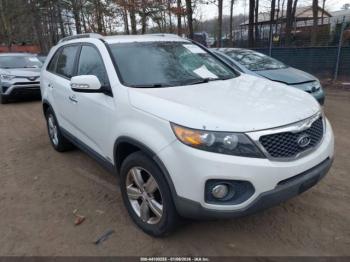  Salvage Kia Sorento