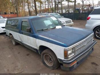  Salvage Chevrolet S Truck