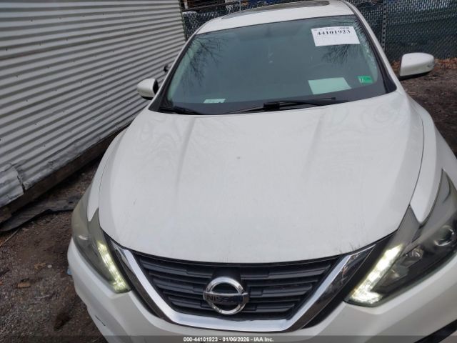 Nissan Altima 2.5 Sl Image 5