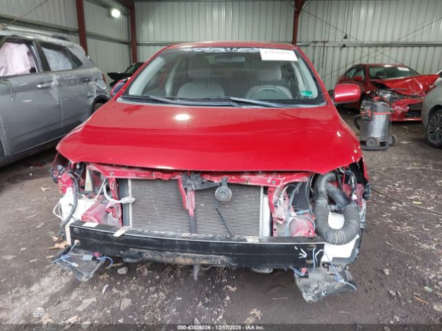 Toyota Corolla Le Image 11