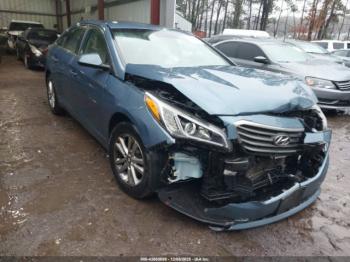 2017 Hyundai SONATA 5NPE24AF3HH******