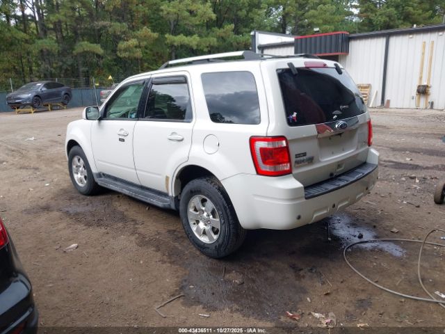 Ford Escape Limited Image 3