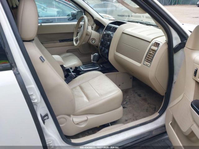 Ford Escape Limited Image 7