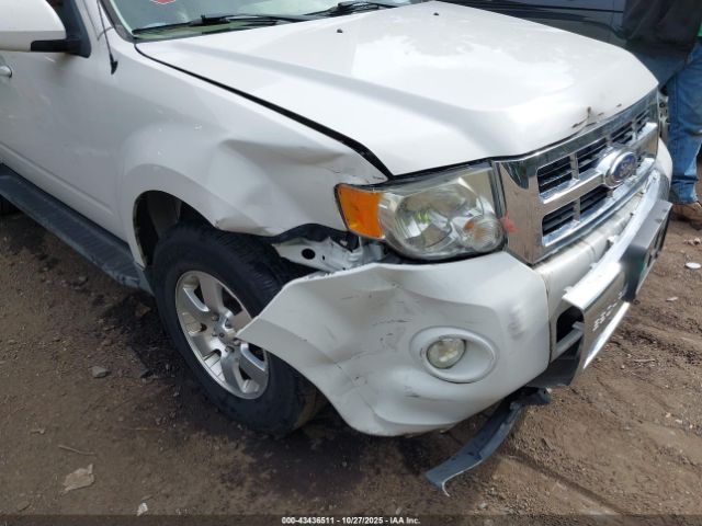 Ford Escape Limited Image 10