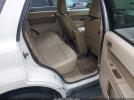 Ford Escape Limited Image 4