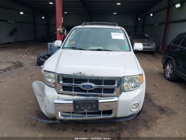 Ford Escape Limited Image 9