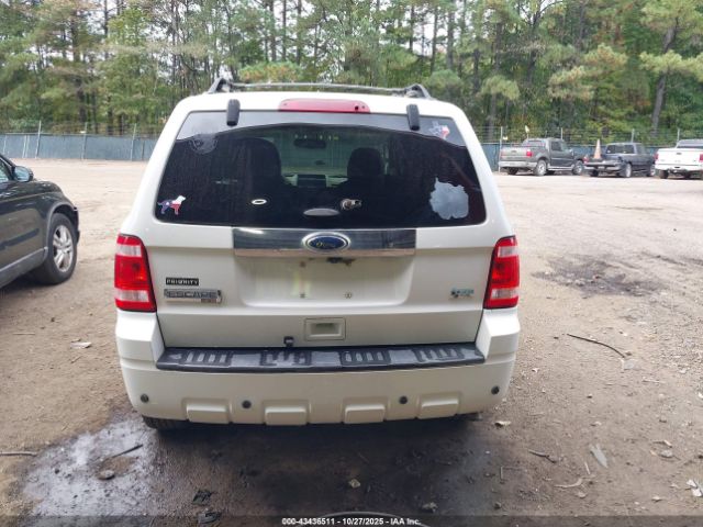 Ford Escape Limited Image 12