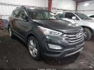Hyundai SANTA FE Sport 2.0t Image 1