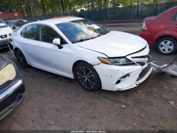 2019 Toyota Camry 4T1B11HK7KU******